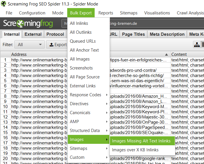 Screaming Frog - Missing Images